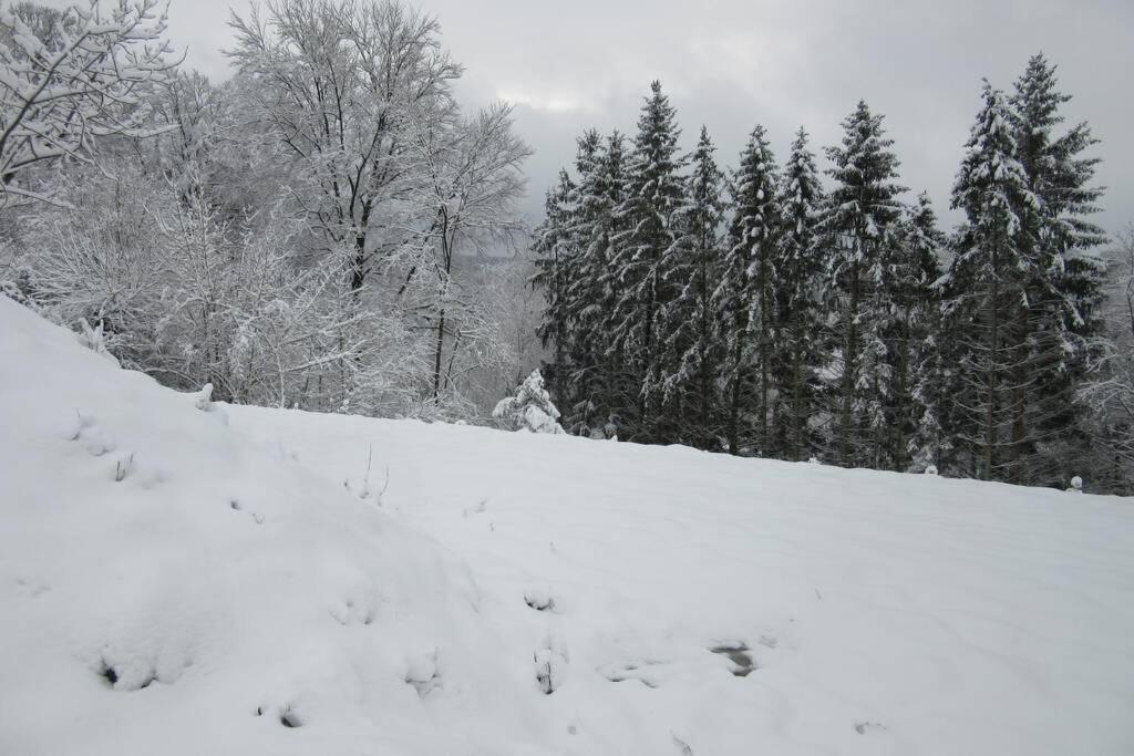 Gite L'A Cote, Bungalow Plain-Pied Sans Vis-A-Vis. Spa Buitenkant foto